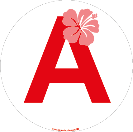 A - Hibiscus rose