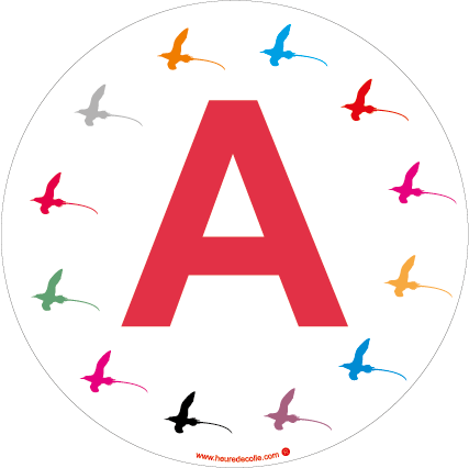 A - Paille en queue