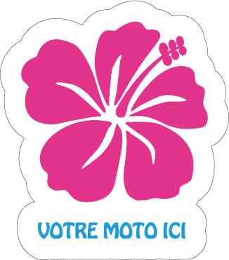Hibiscus rose personnalisable