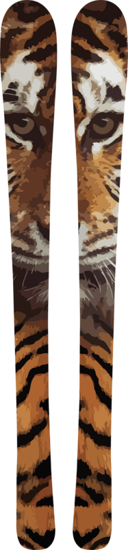 Sticker Ski Tigre