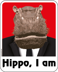 Hippo