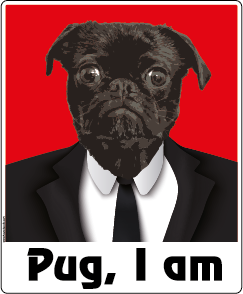 Pug