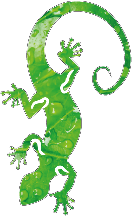 Geiko vert / Geiko vert personnalisable
