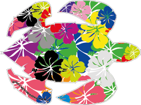 Tortue multi