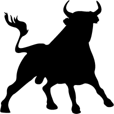 Toro Fou