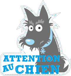 Attention au chien