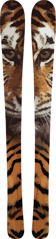 Sticker Ski Tigre