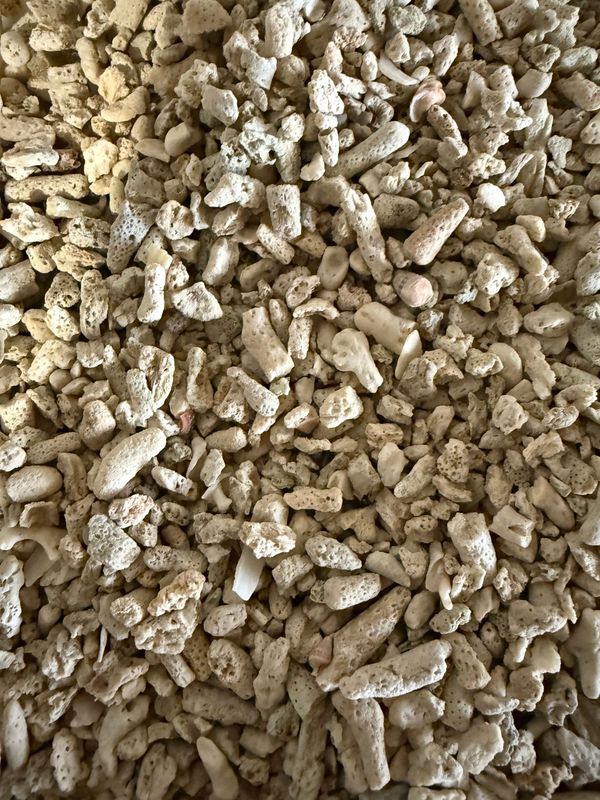 5 kg Korallenbruch ca 5 mm zu 100 % Natürlich 5 kg Korallenbruch ca 5 mm zu 100 % Natürlich