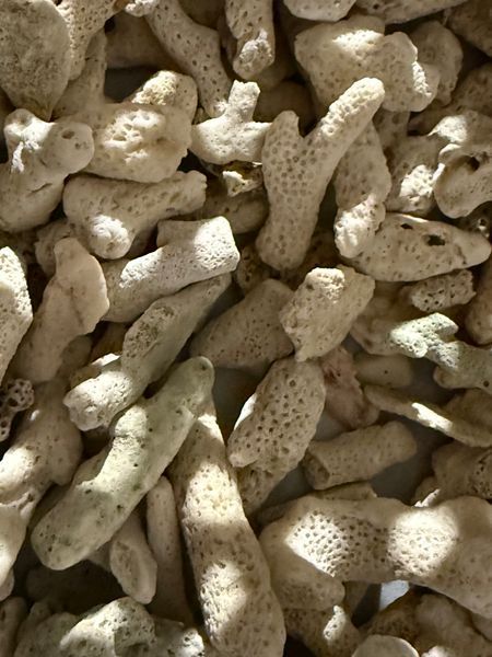 5 kg Korallenbruch ca 3 cm zu 100 % Natürlich 5 kg Korallenbruch ca 3 cm zu 100 % Natürlich