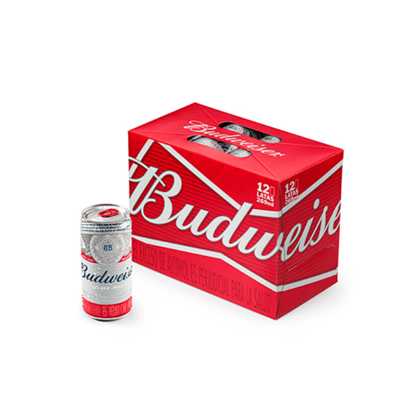 Cerveza budweiser x6x24