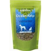 Animal Essentials Ocean Kelp