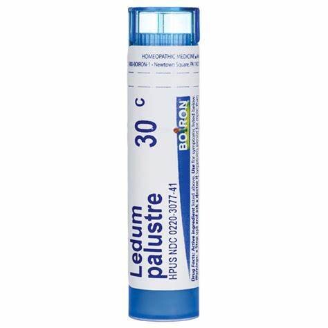 Boiron Ledum Palustre 30c