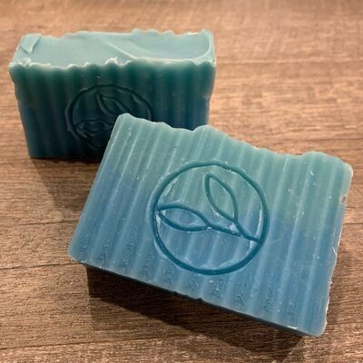Two Chicks and a Bar Soap Coastal Rain 4 oz 