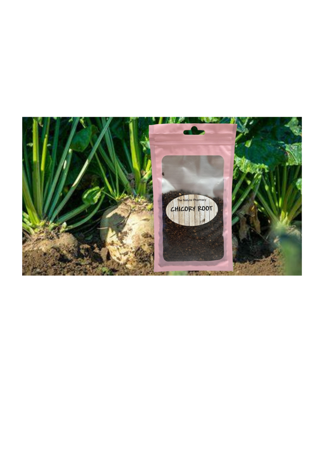 TNP Chicory Root 1 oz