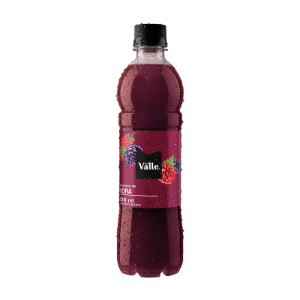 FRUTAL MORA 500ML