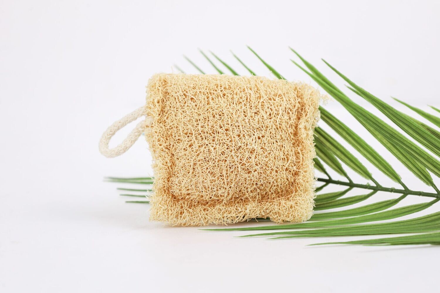 Sponge Gourd