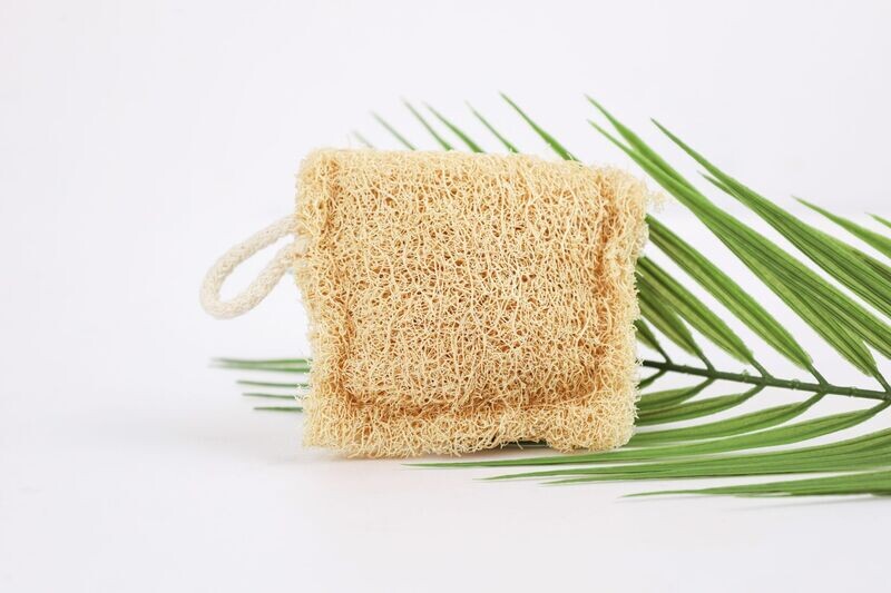 Sponge Gourd