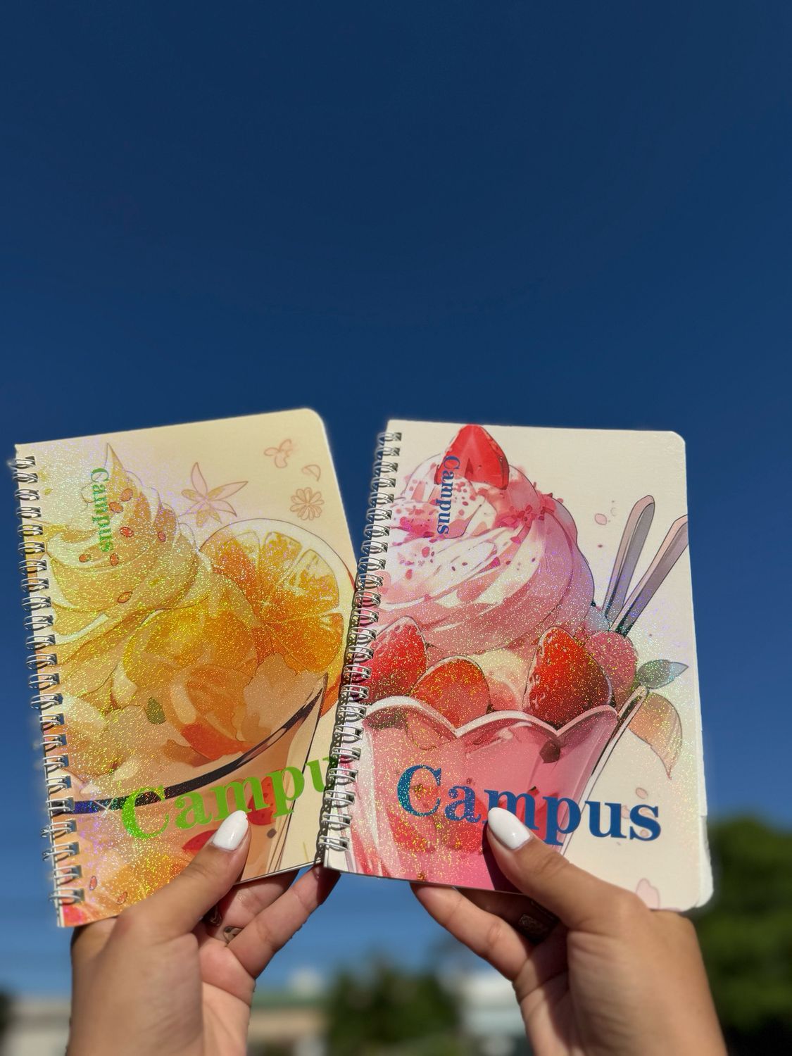 Cuaderno delicado por MAYOR ($50 c/u paquete de 6 unidades)
