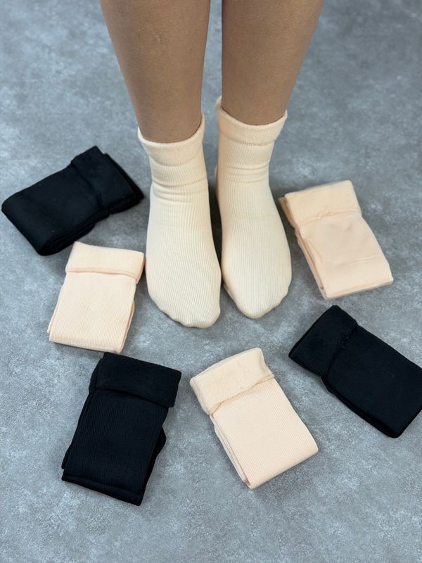 Docena de Medias termicas morley Docena de Medias termicas morley