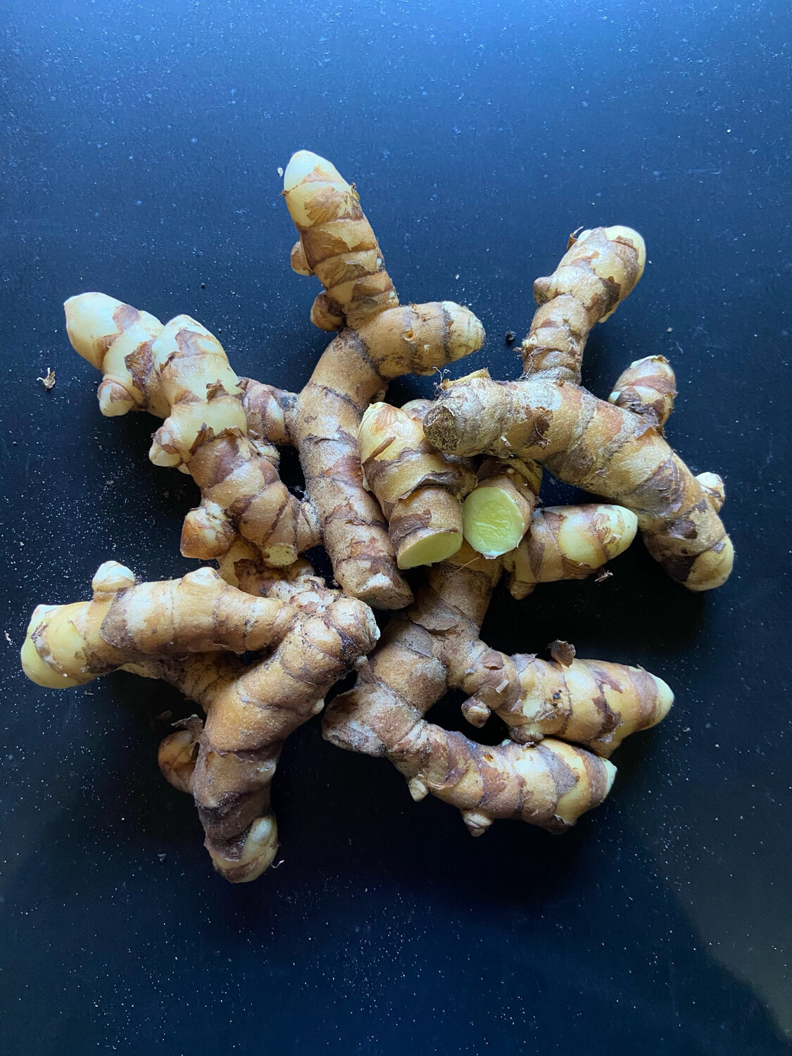 Turmeric Yellow ROOTS