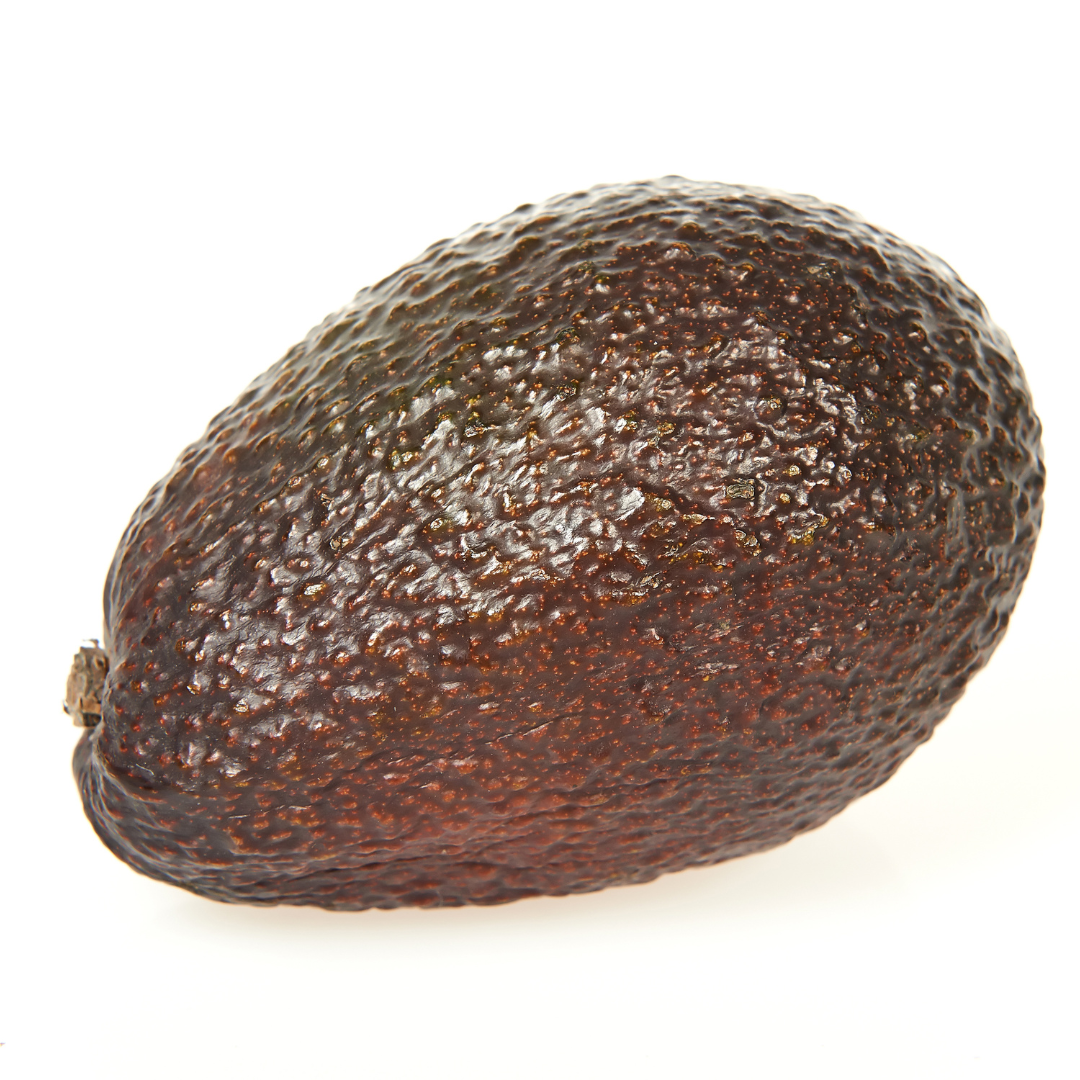 Avocado - 'Joey', Persea americana - 3G