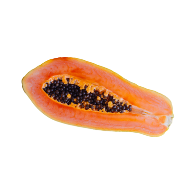 Papaya - Red Maradol Hybrid (Carica papaya) 4"