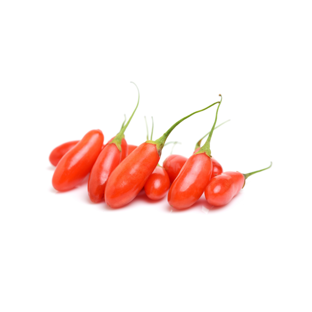 Goji Berry, Wolf Berry (Lyceum barbarum) 4" Goji Berry, Wolf Berry (Lyceum barbarum) 4"