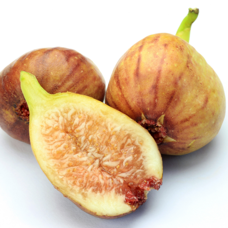 Fig - Yellow Long Neck (Ficus carica)