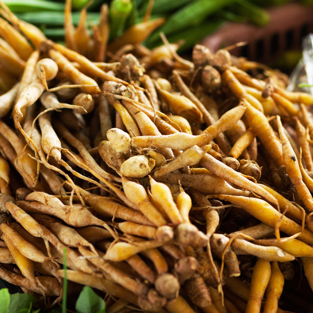 Ginger - Chinese Finger​ (Boesenbergia rotunda) 3G