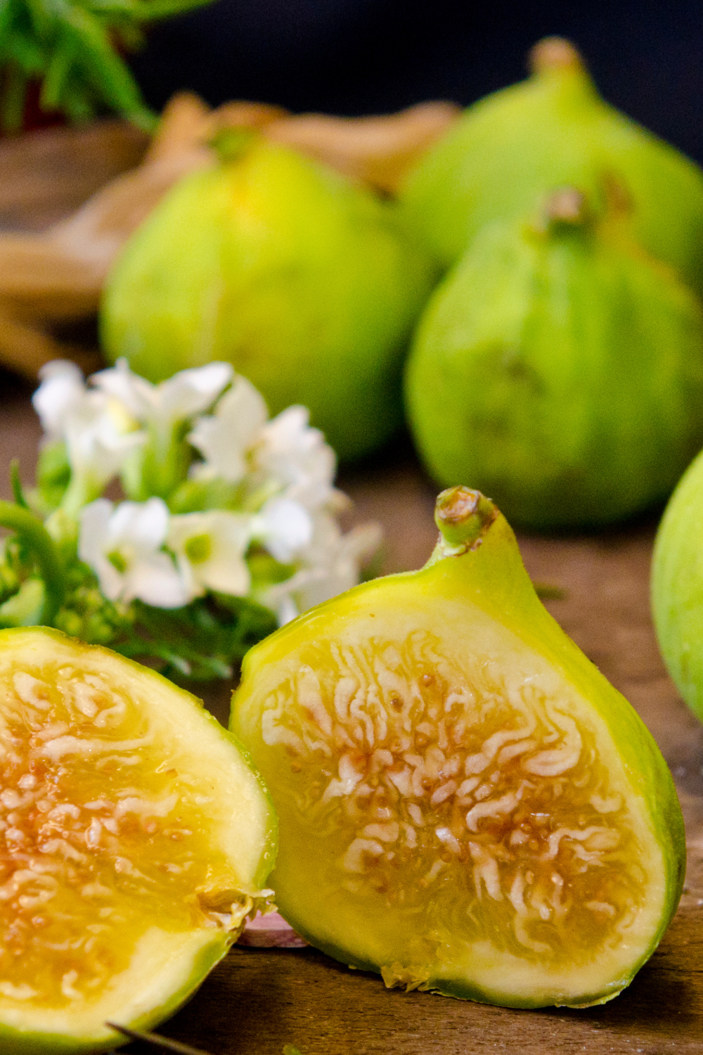 Fig - White Marseilles (Ficus sp.) 3G