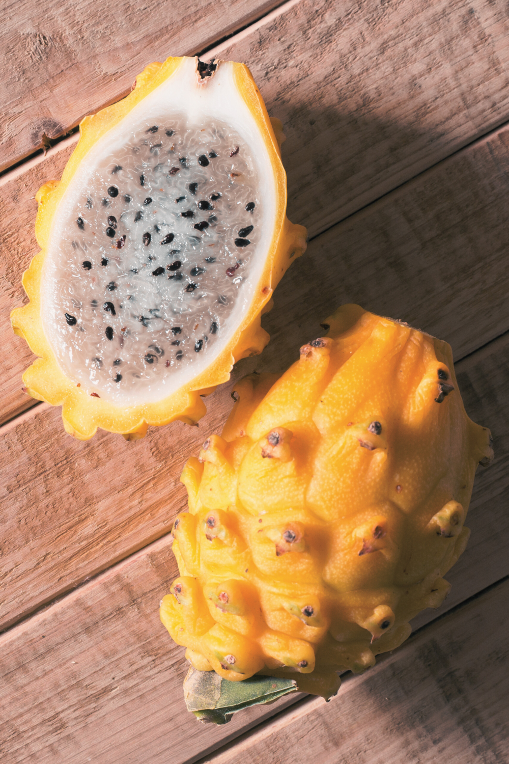 Dragon Fruit - Yellow (Hylocereus megalanthus) 1G