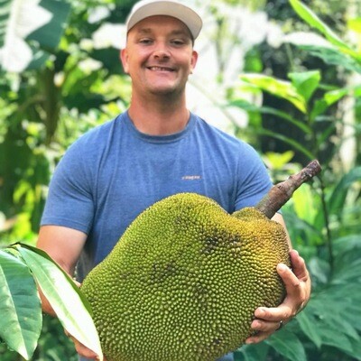 Tropical Fruit Trees + Plants