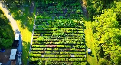 All Live Plants - Full Inventory