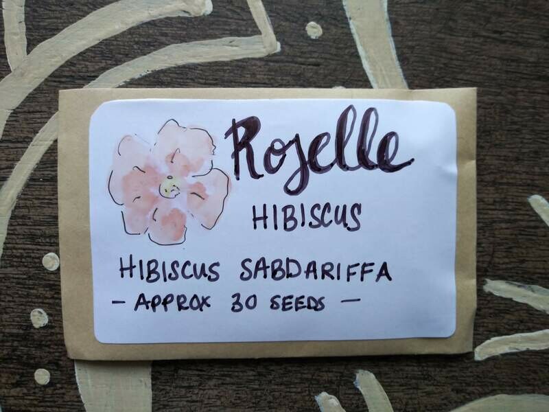 Hibiscus - Roselle SEEDS (Hibiscus sabdariffa)