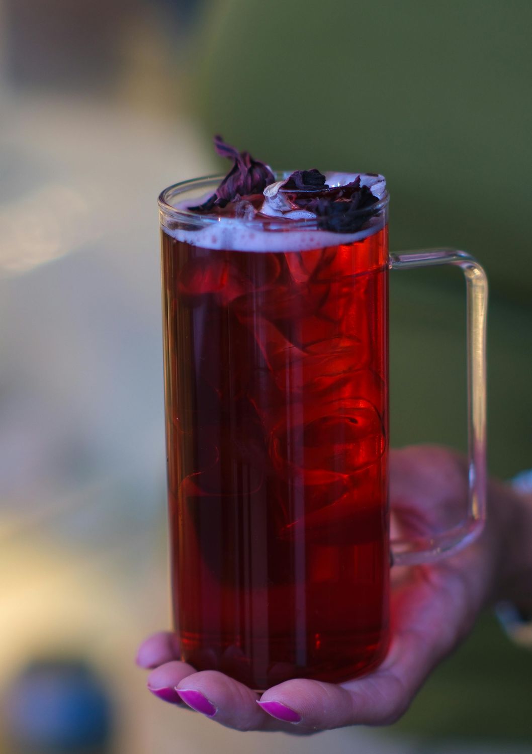 Hibiscus - Roselle SEEDS (Hibiscus sabdariffa)