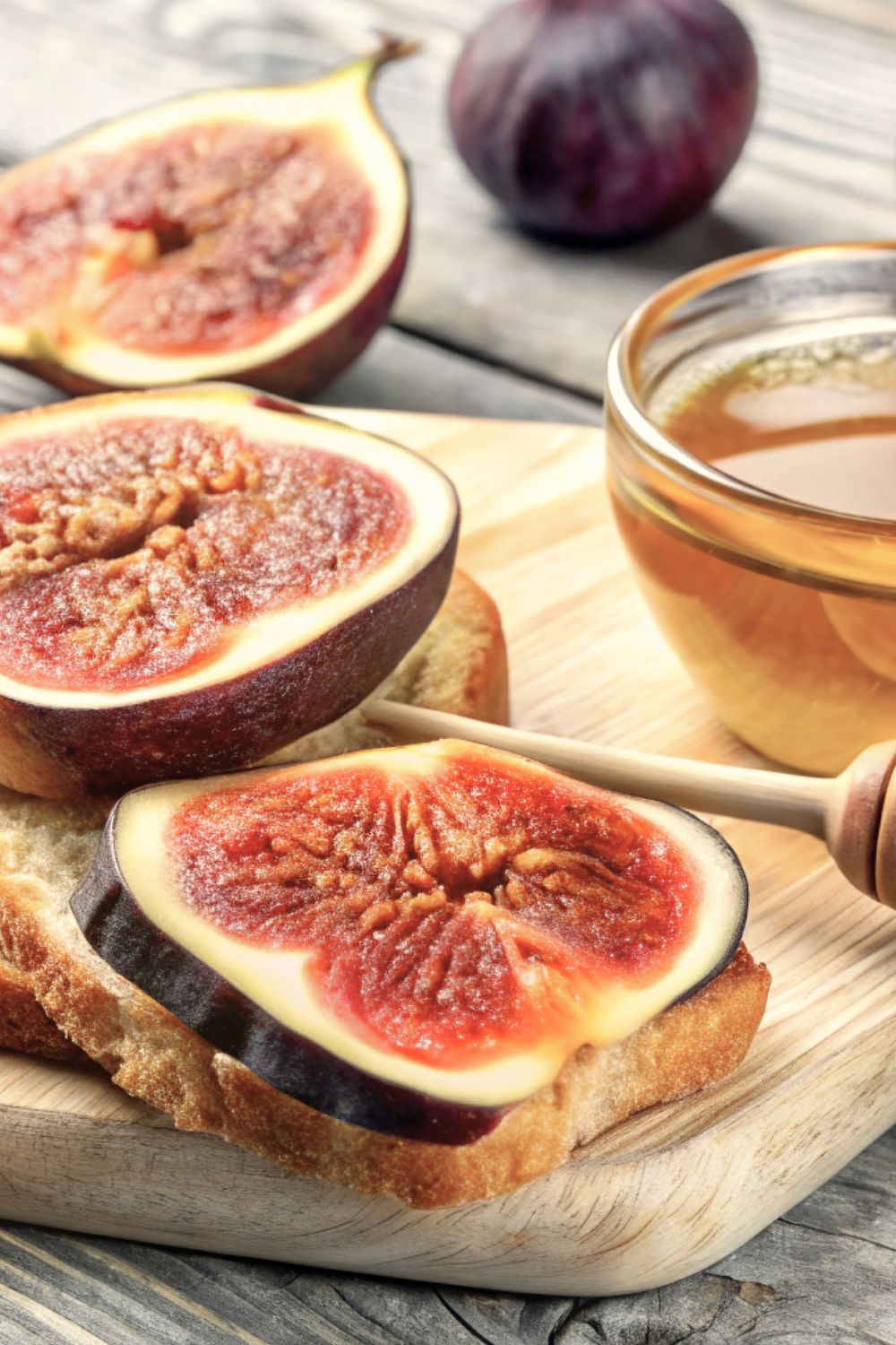 Fig - Celeste (Ficus carica) 3G