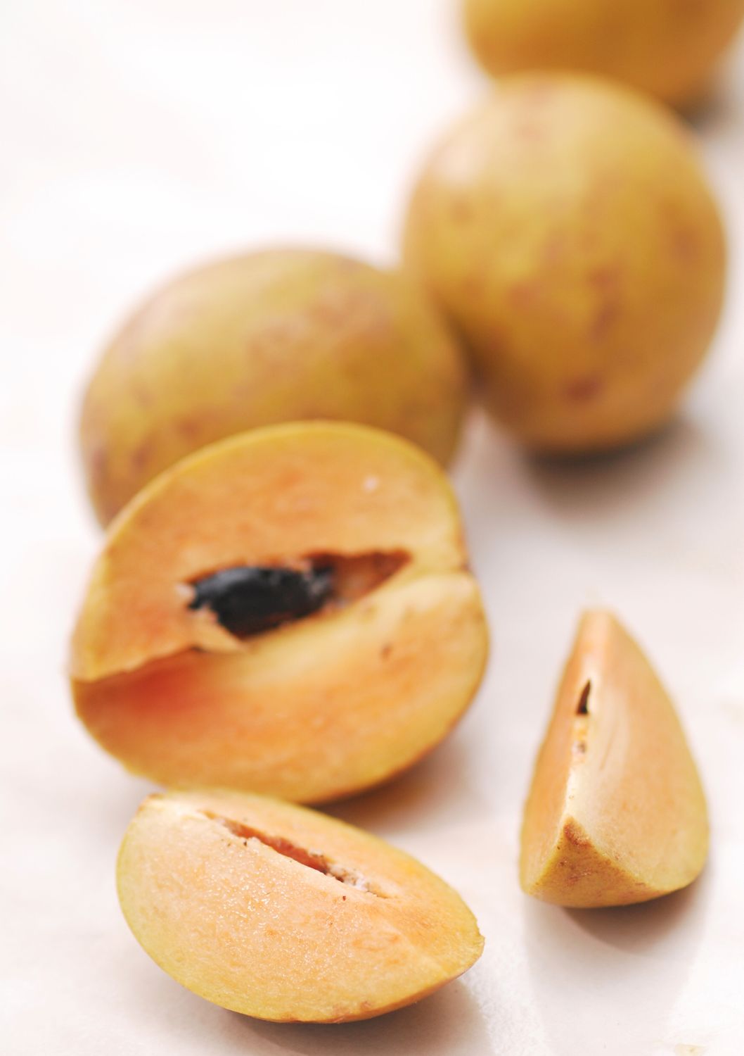 Sapodilla - Alano (Manilkara zapota ‘Alano’) – 3 Gallon