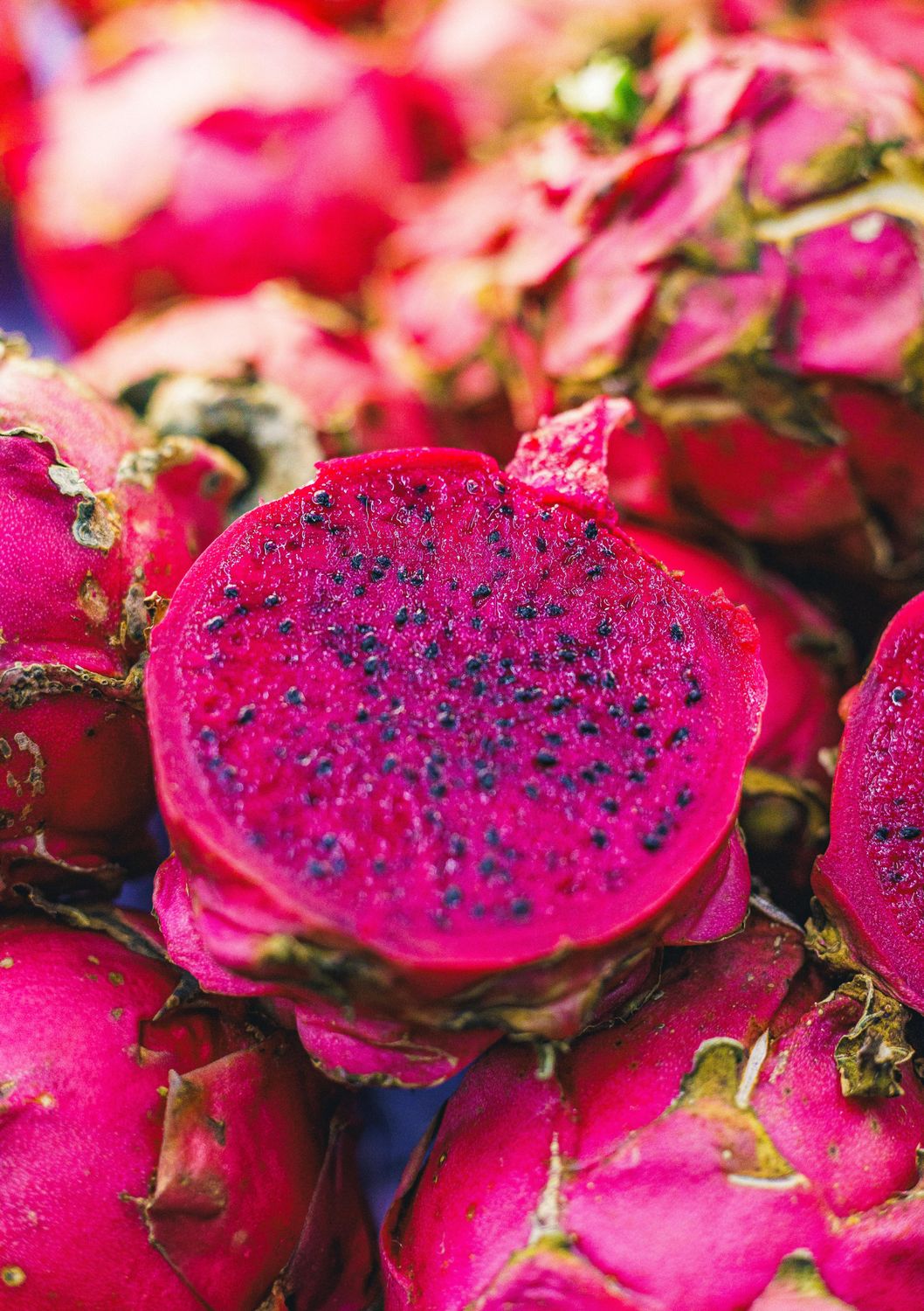 Dragon Fruit - American Beauty (Hylocereus megalanthus) 1G