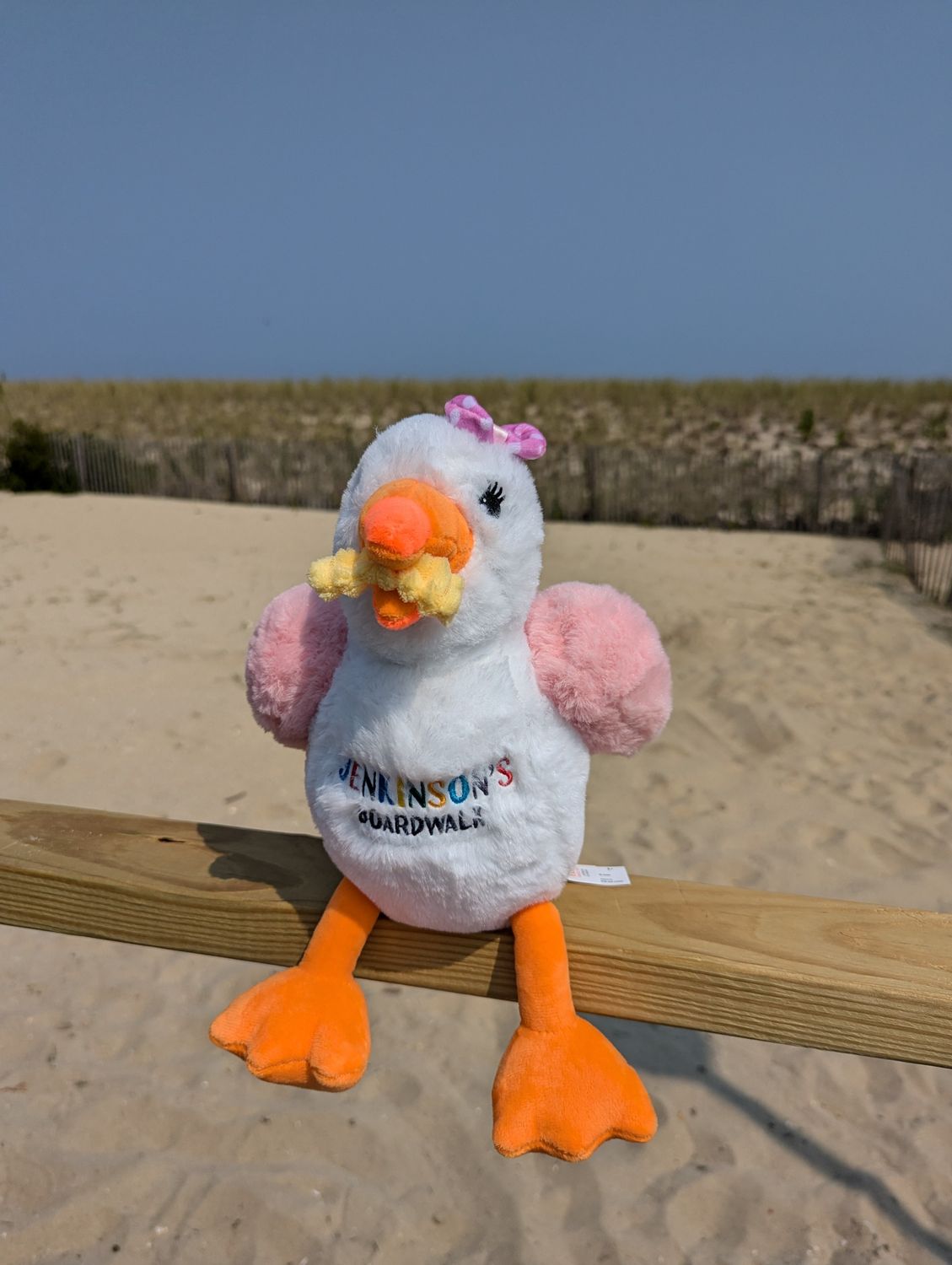 Sandy the Seagull, a 10-inch stuffed animal with Jenkinson&#39;s Boardwalk on her stomach, a french fry in her mouth, pink wings and a pink bow in her hair, sits on a railing in Point Pleasant Beach, NJ
