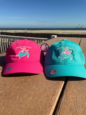 Turtle Ladies Adult Hat