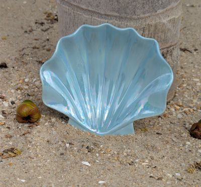 Scallop Shell Dish
