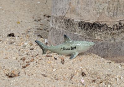 Shark Figurine