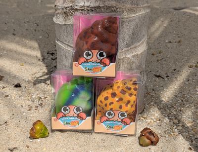 SeeShell Hermit Crab