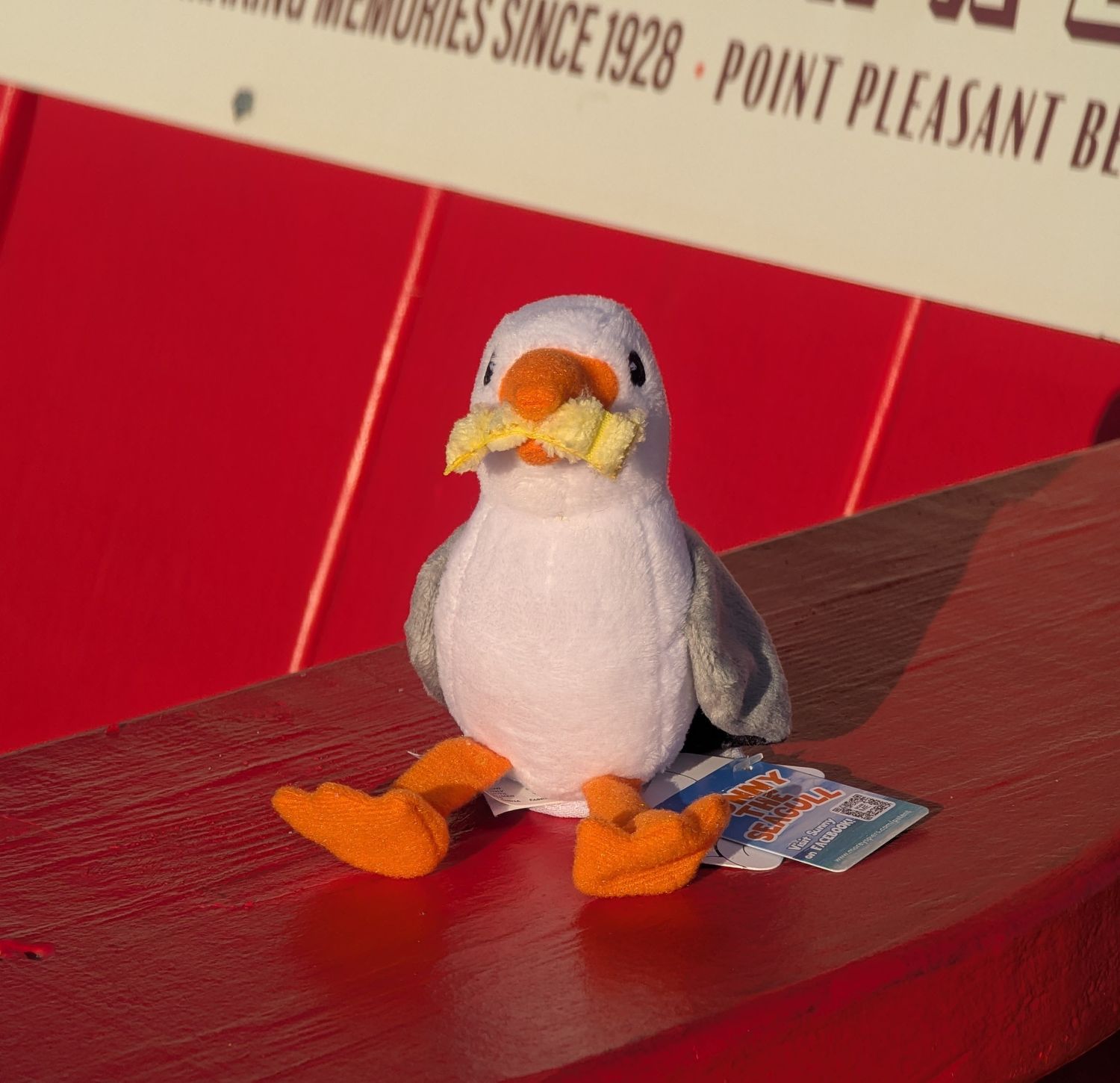 Sunny the Seagull Shoulder Magnet