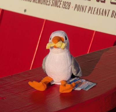 Sunny the Seagull Shoulder Magnet