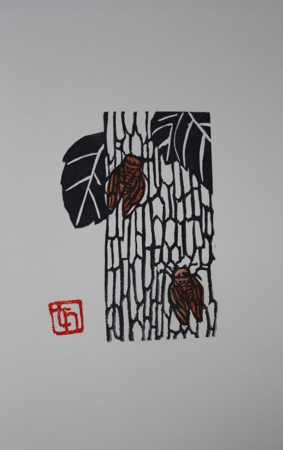 Cicadas 'SEMI'