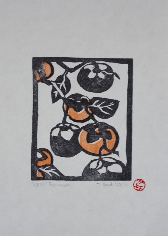 Persimmons 'KAKI'