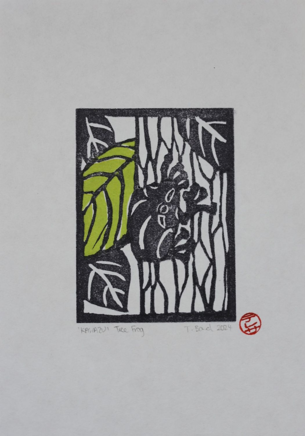 Tree Frog 'KAWAZU'