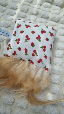 Coussin cerise