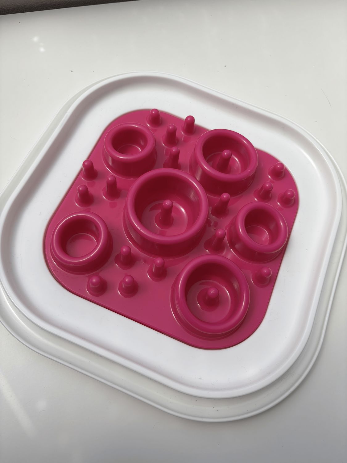 Gamelle Ludique Slow Feeder